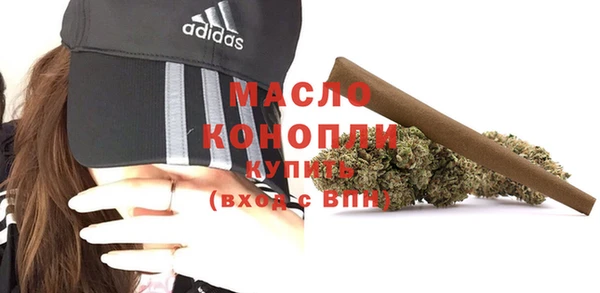 винт Ельня