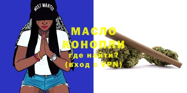 винт Ельня