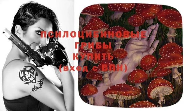 стафф Елабуга