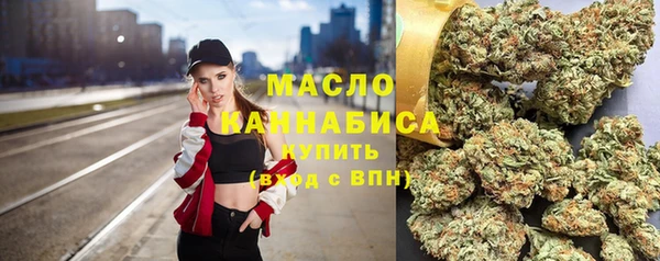 винт Ельня