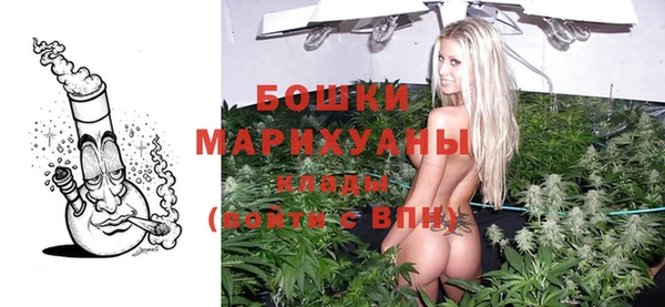 винт Ельня