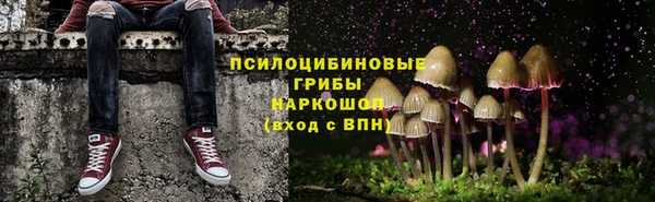 стафф Елабуга