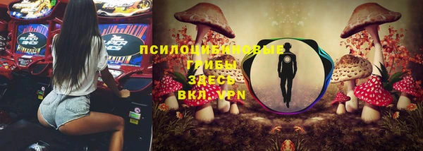 винт Ельня
