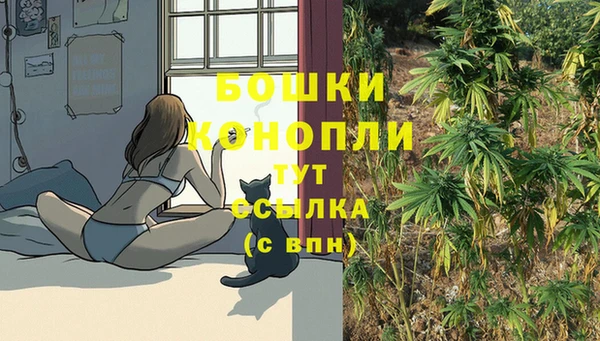 винт Ельня