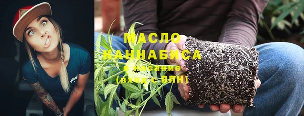 винт Ельня
