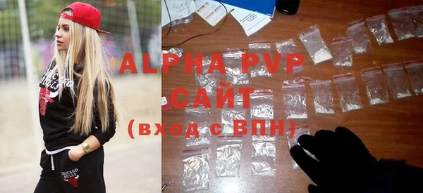винт Ельня