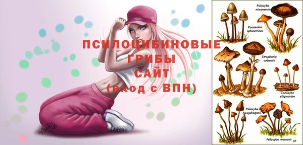 стафф Елабуга