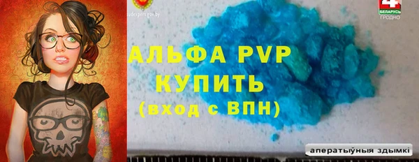 винт Ельня