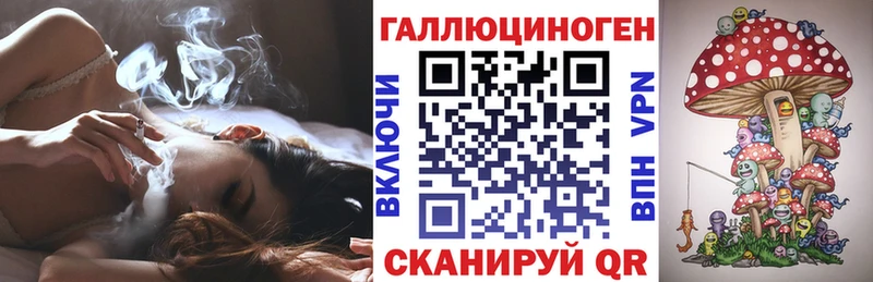 блэк спрут сайт  Губаха  Галлюциногенные грибы GOLDEN TEACHER 