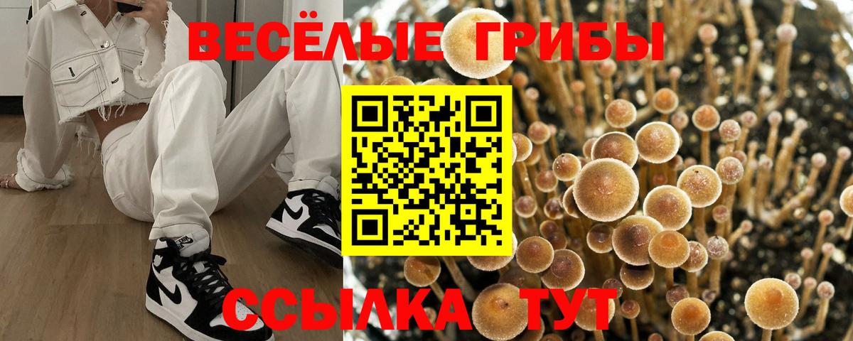 Псилоцибиновые грибы Cubensis  Псилоцибиновые грибы ЛСД  закладка  Губаха  Вход с VPN 