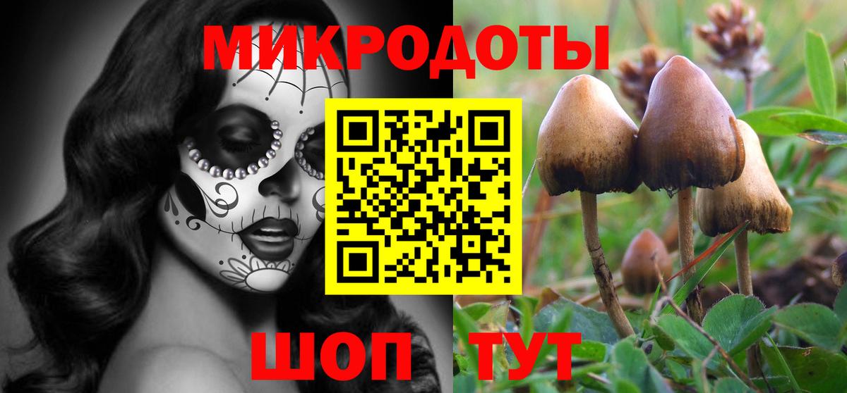 Галлюциногенные грибы Psilocybe Губаха